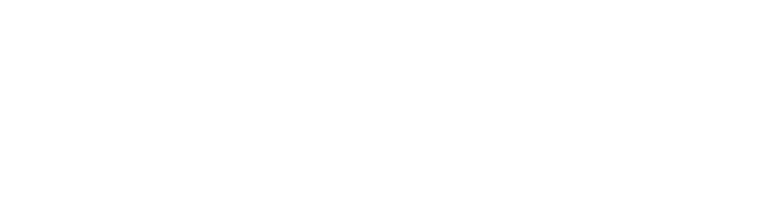 Vinyl Styl Footer Logo